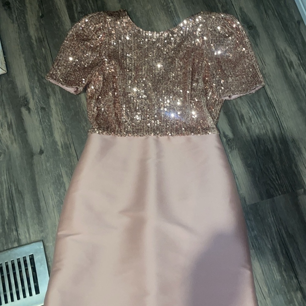 Sachin + Babi Margot Gown in blush. Size 2 - Picture 4 of 13